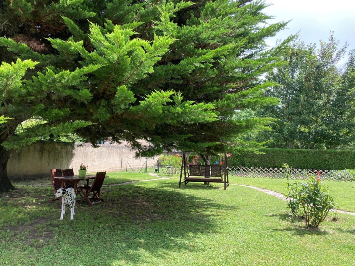 Pocé-sur-Cisse La Maison De Triboulet Chambres Et Table D'Hotes -Amboise- المظهر الخارجي الصورة